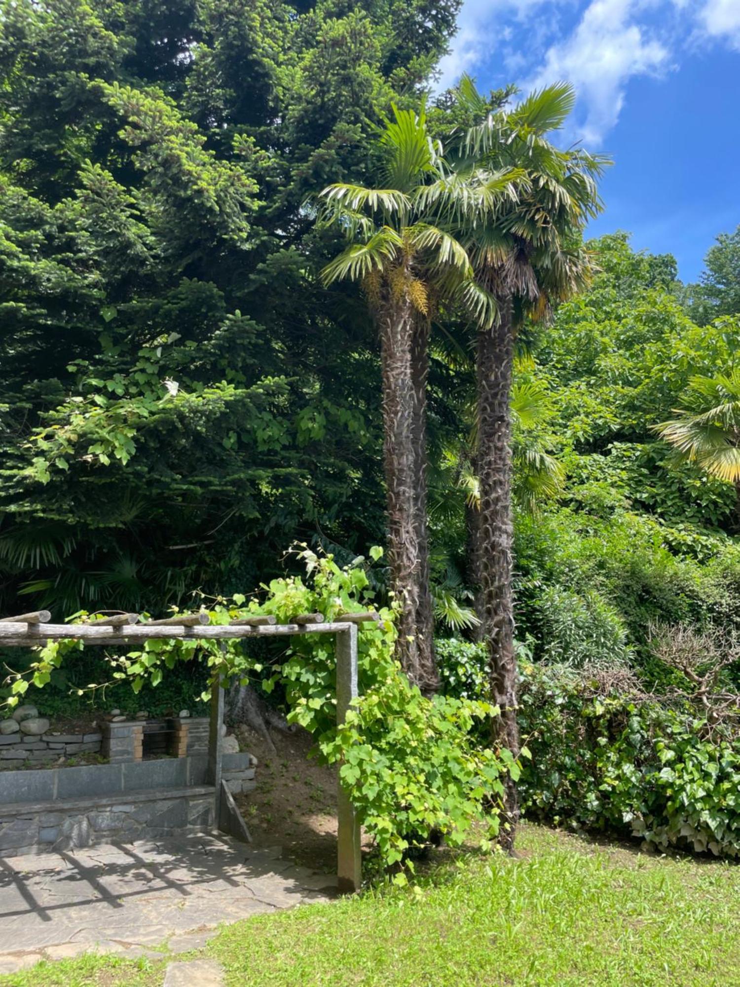 Appartement Novotna Ponte Tresa Exterior photo